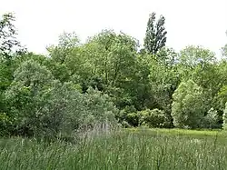 La zone humide à l'ouest du lieu-dit Chez Dumaine, à Bouteilles-Saint-Sébastien.