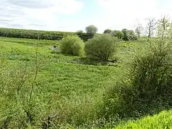 Paysage au niveau du ruisseau de la Viergne, au nord de la RD 915