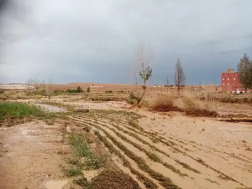 Zaida Bouhafs été 2024