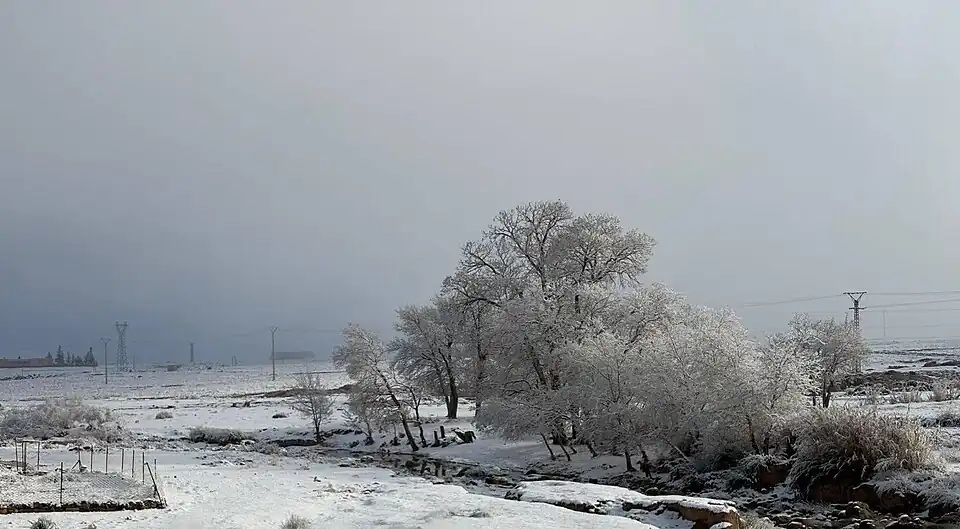zaida neige janvier 2025 2