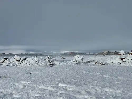 zaida neige janvier 2025 3