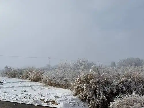 zaida neige janvier 2025 4