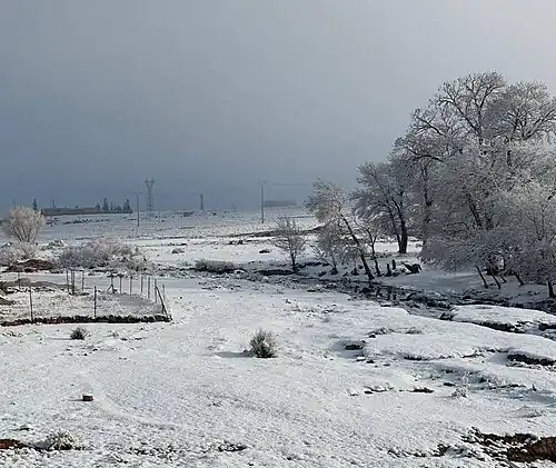 zaida neige janvier 2025 6