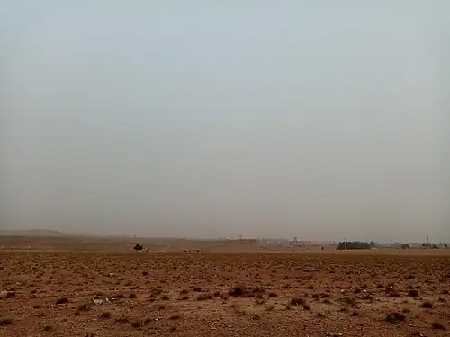 Zaida tempête de sable