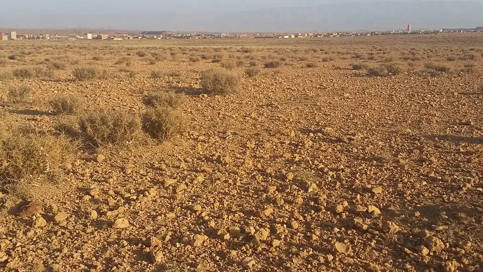 Zaida_vue_de_loins_2012