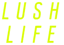 Description de l'image Zara Larsson - Lush Life (single) logotipo.png.