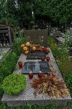 Description de cette image, également commentée ci-après