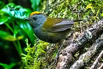 Description de cette image, également commentée ci-après