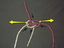 Pour ajuster, tenir les dormants ou courants qui ne doivent pas être modifiés, et élargir le nœud.