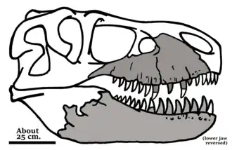 Description de cette image, également commentée ci-après