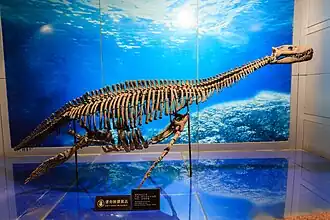 Description de cette image, également commentée ci-après