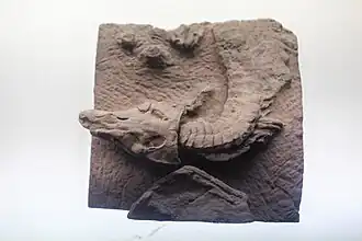 Description de cette image, également commentée ci-après