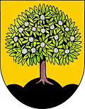 Blason de Nasavrky