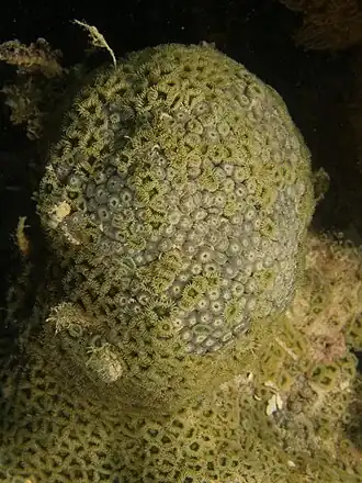 Description de cette image, également commentée ci-après