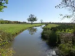 Zone humide à Bords, dans le centre.