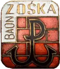 Image illustrative de l’article Bataillon Zośka