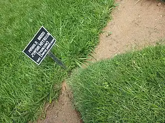 Description de cette image, également commentée ci-après