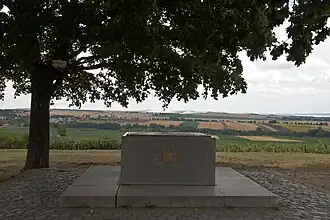 Stèle sous les arbres