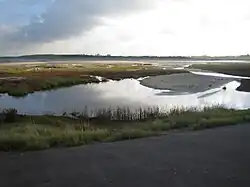 Le pré-salé vu de la plage