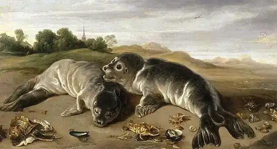 Paul de Vos, Deux Jeunes Phoques sur un rivage, vers 1650, huile sur toile, 80&nbsp;×&nbsp;146&nbsp;cm.