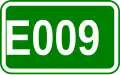 Route européenne 009