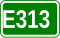 Route européenne 313