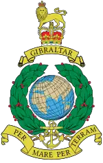 Image illustrative de l’article Royal Marines
