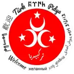 Logo de Turkpidya