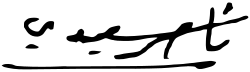 signature de Nasser Saïdi