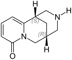 Image illustrative de l’article Cytisine