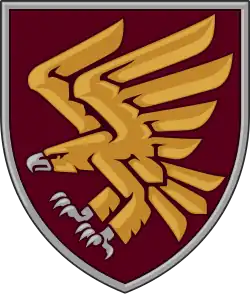 Image illustrative de l’article 95e brigade d'assaut aérien