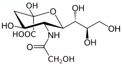 Image illustrative de l’article Acide N-glycolylneuraminique