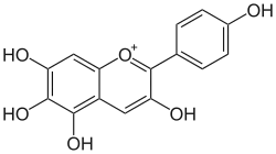 Image illustrative de l’article Aurantinidine