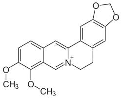 Image illustrative de l’article Berbérine