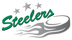 Description de l'image Bietigheim_Steelers_logo.svg.