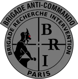 Image illustrative de l’article Brigade anticommando