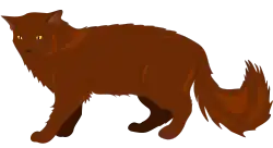 Allure générale du chantilly