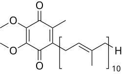 Image illustrative de l’article Coenzyme Q10