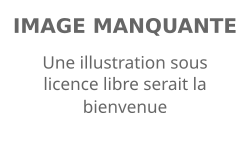 Description de l'image Defaut.svg.
