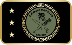 Image illustrative de l’article Armée mexicaine
