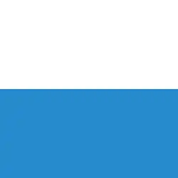 Les couleurs cantonales sont le blanc et le bleuUsage des drapeaux,étendards et fanions (Règlement sur les drapeaux) - Règlement 51.340 f, Armée suisse, p.&nbsp;54, consulté le 26 juillet 2017