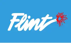 Drapeau de Flint