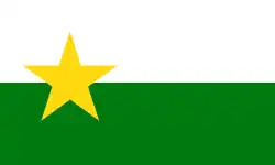 Drapeau de Comté de ForsythForsyth County