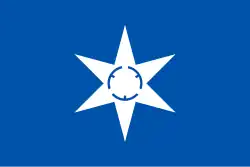 Drapeau de Mito-shi
