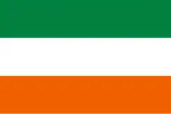 Drapeau de Canton de Naranjito