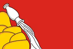 Drapeau de l’oblast de Voronej