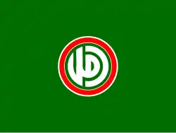 Image illustrative de l’article Force al-Abbas