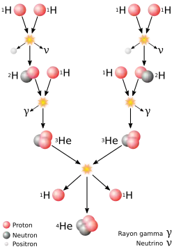 Un arbre logique dans lequel des atomes se créent et se détruisent au fur et à mesure que certaines réactions nucléaires s'effectuent.