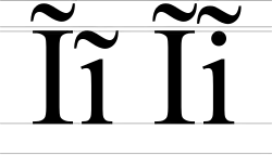 Image illustrative de l’article Ĩ