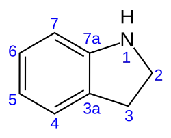 Image illustrative de l’article Indoline